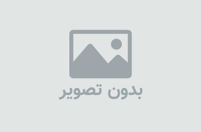 سنجاب های خاکستری بلای جان محیط زیست نهاوند